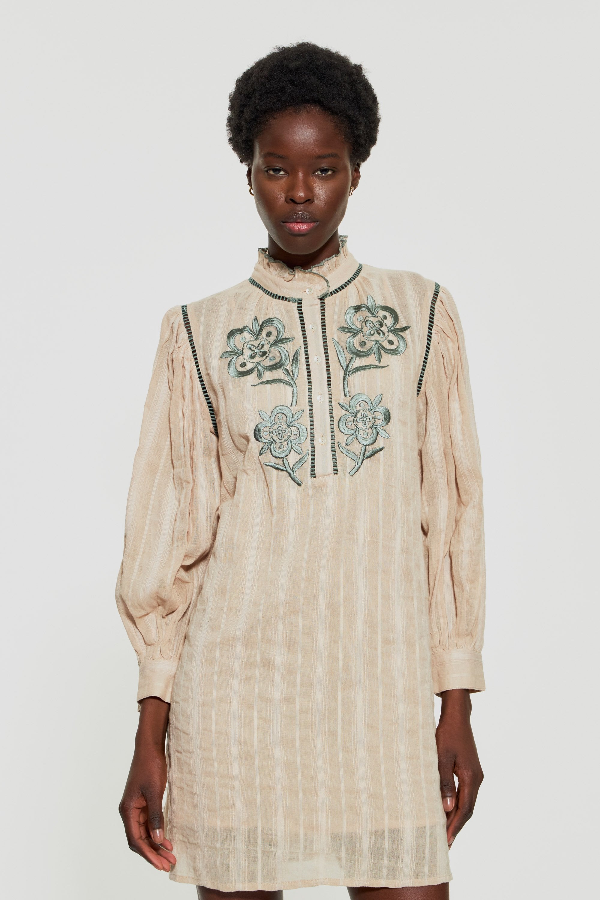 Vani embroidered mini dress