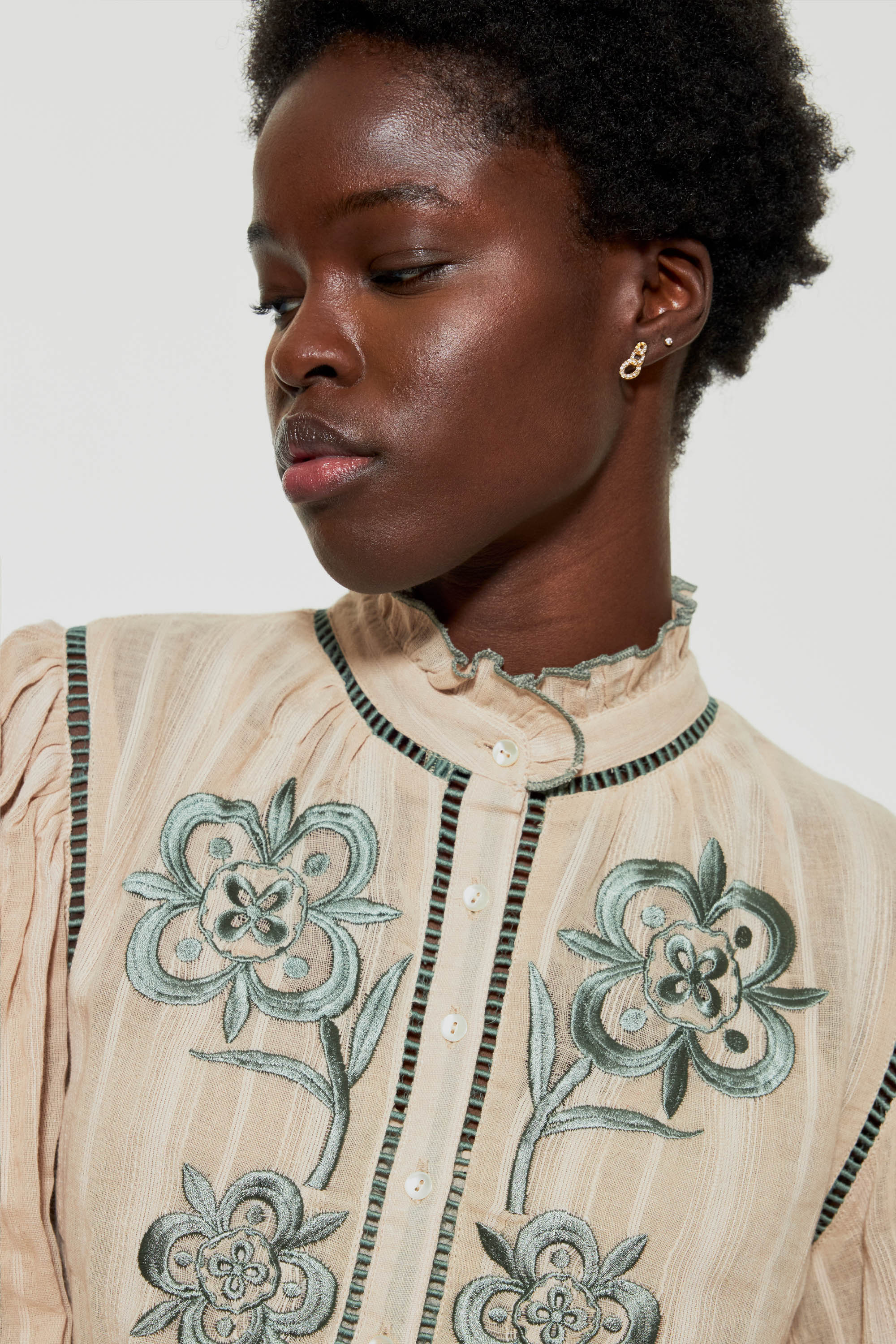 Vani embroidered mini dress