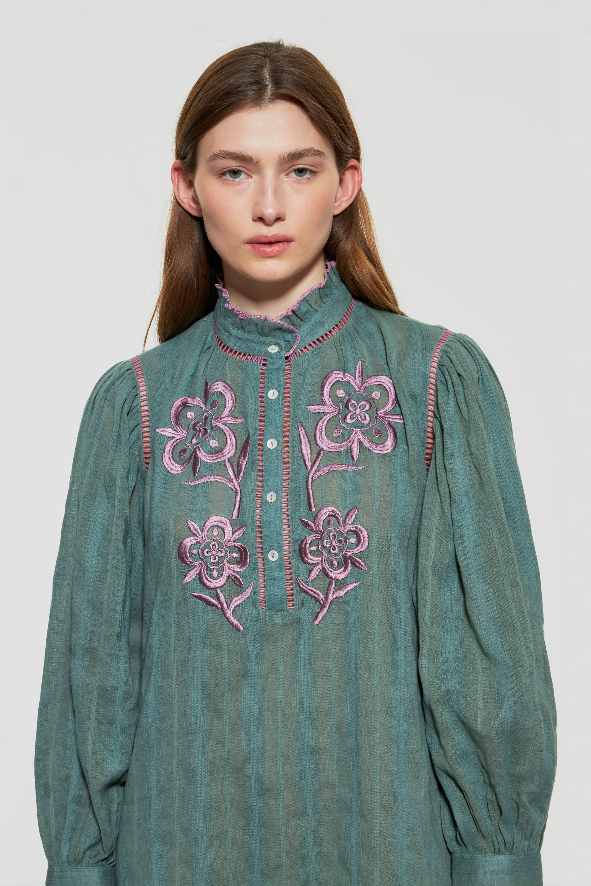 Vani embroidered mini dress