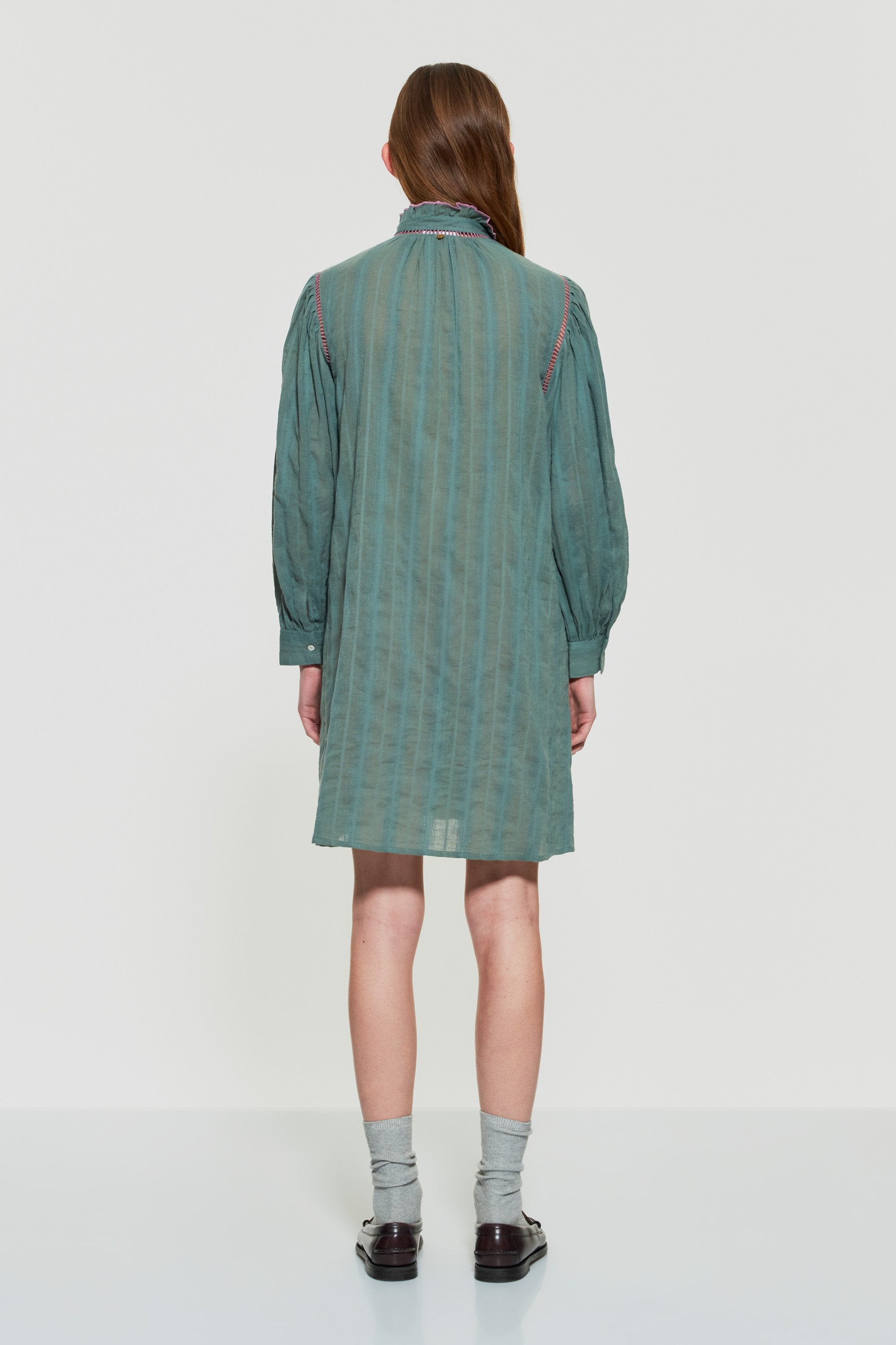 Vani embroidered mini dress