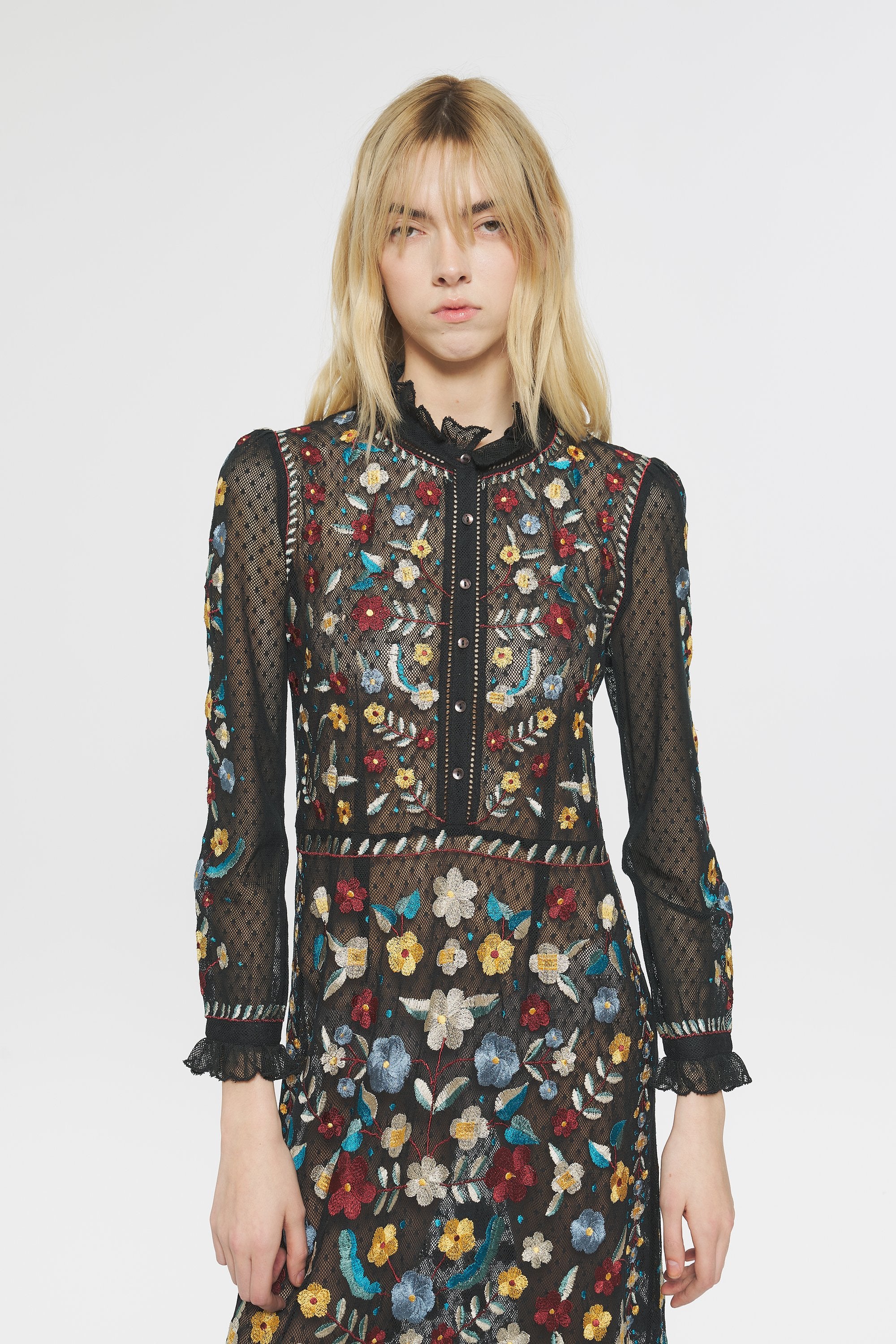 Ariani Embroidered maxi dress
