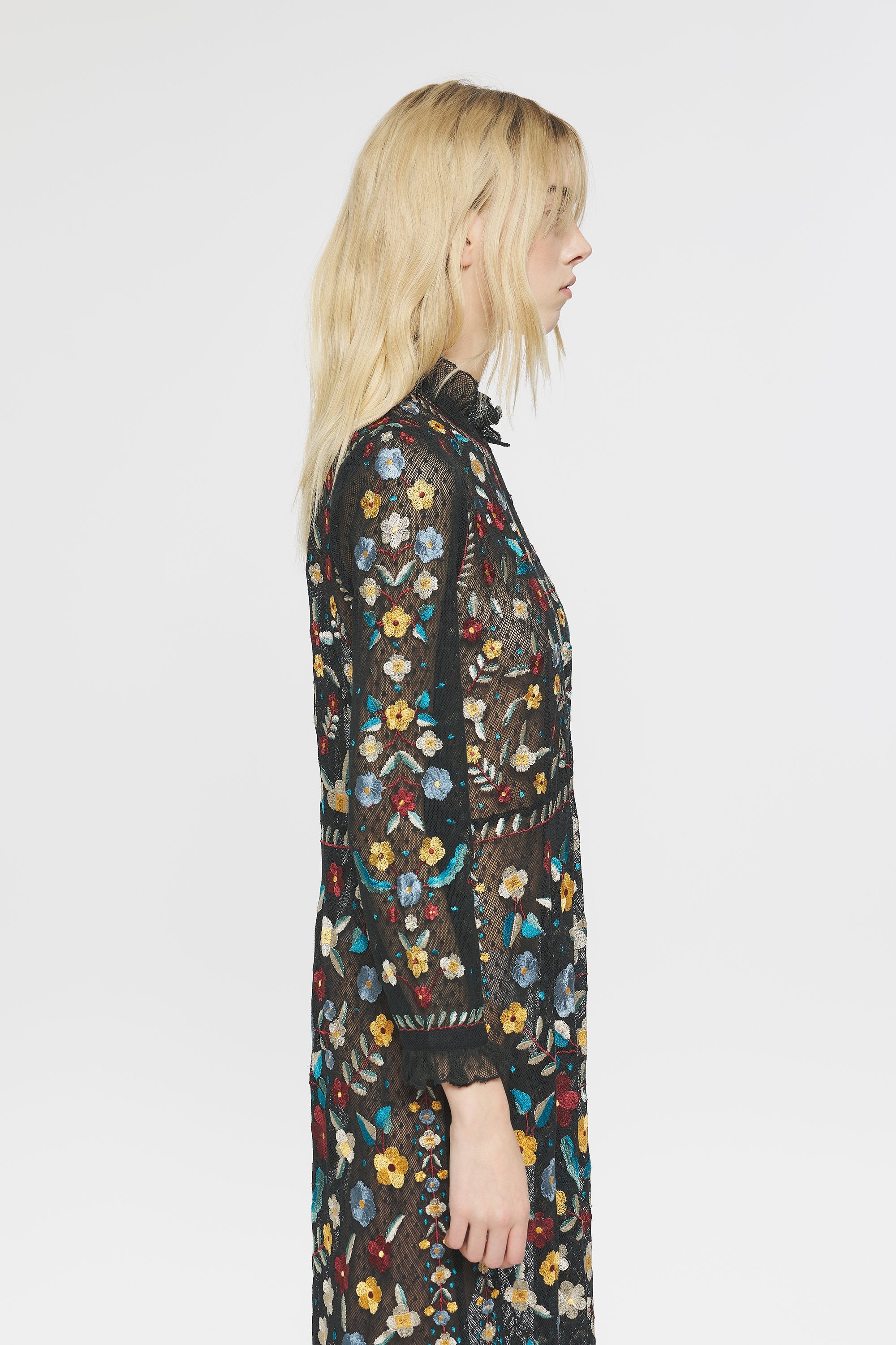 Ariani Embroidered maxi dress