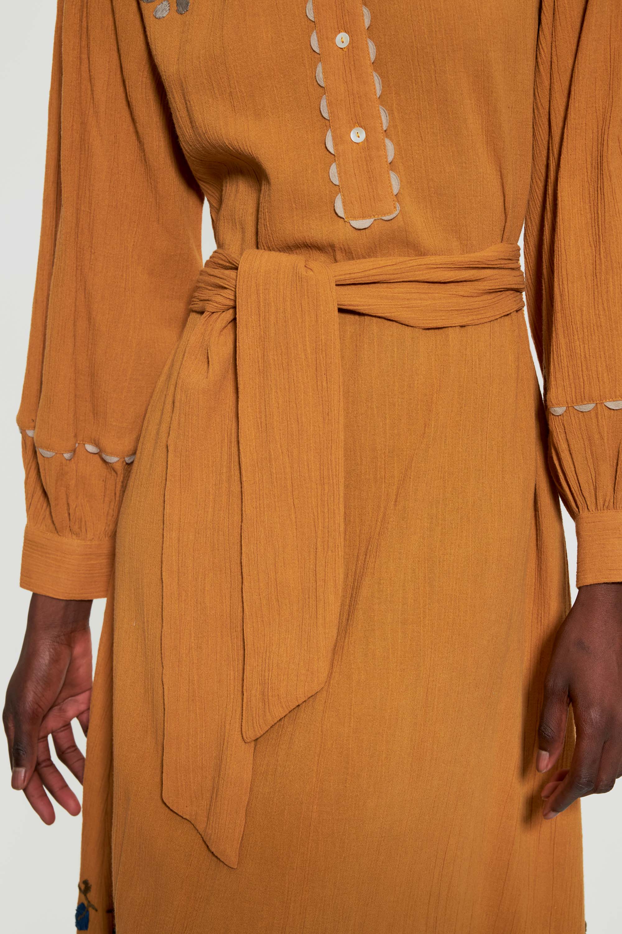 Vani embroidered maxi dress