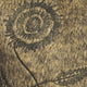 WILLOW1GIL-FOREST