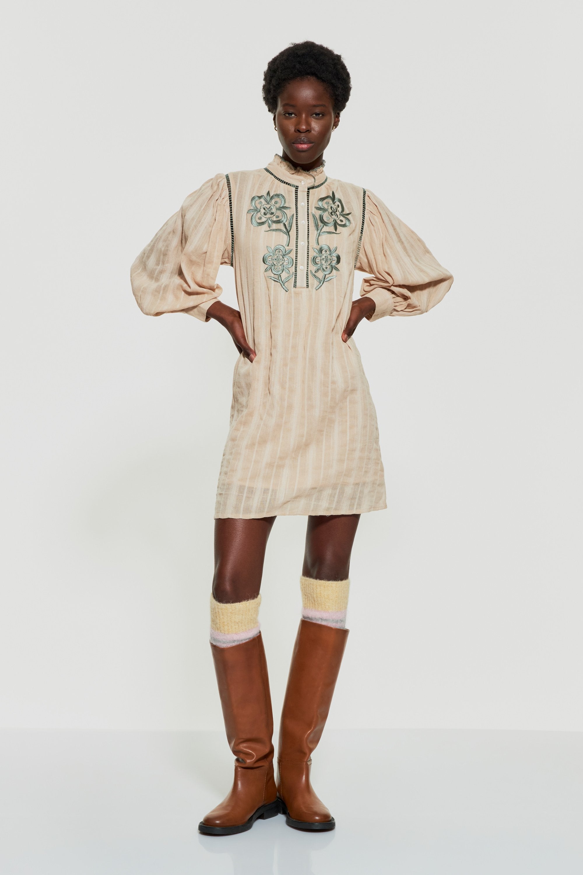 Vani embroidered mini dress