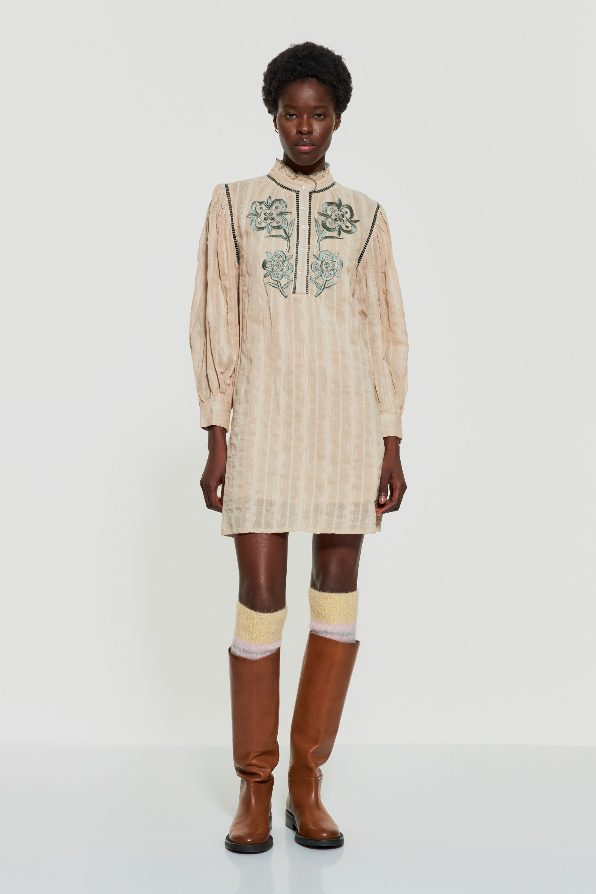 Vani embroidered mini dress