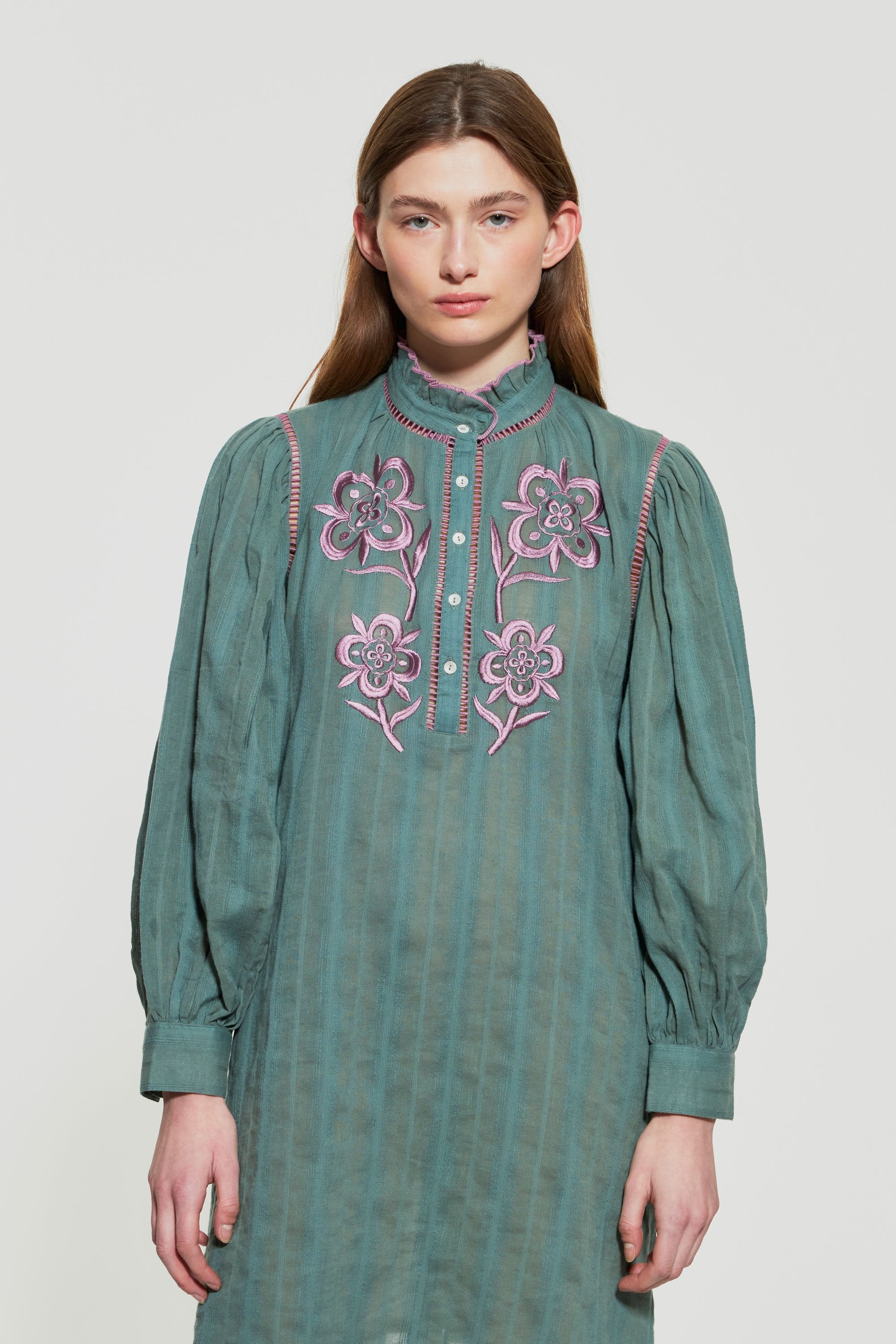 Vani embroidered mini dress